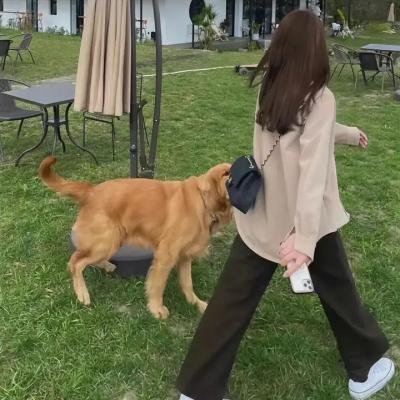 游牧警探:血戮之村